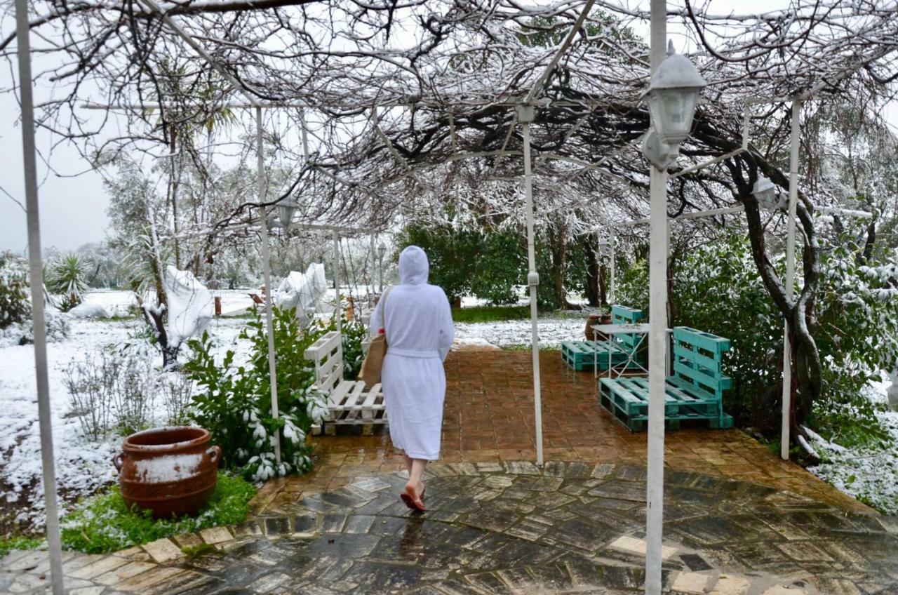Casale Del Gelso Villa Genzano di Roma Dış mekan fotoğraf