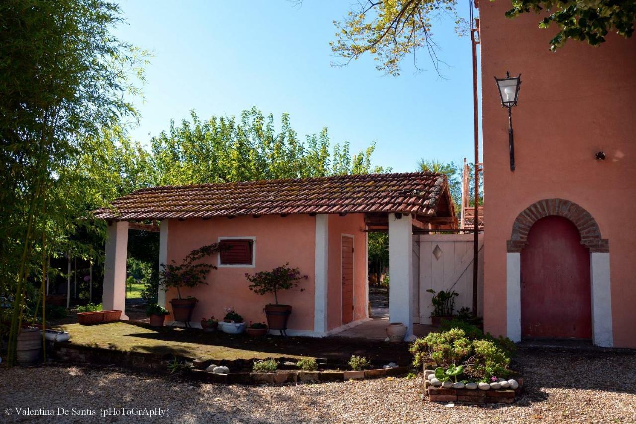 Casale Del Gelso Villa Genzano di Roma Dış mekan fotoğraf
